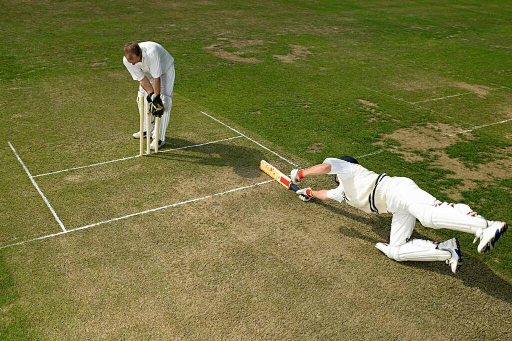Pakistan Cricket Supporters Gathering